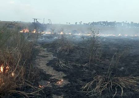 PF e órgãos estaduais apuram causas de incêndios no Pantanal