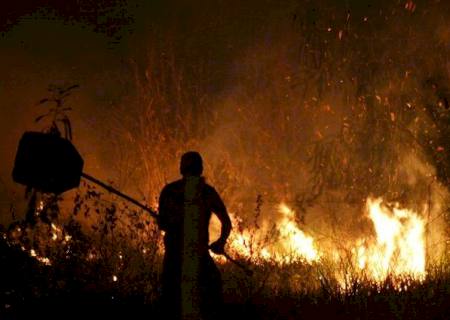 Quem for pego colocando fogo em terreno baldio pode ser multado em até R$ 9,6 mil