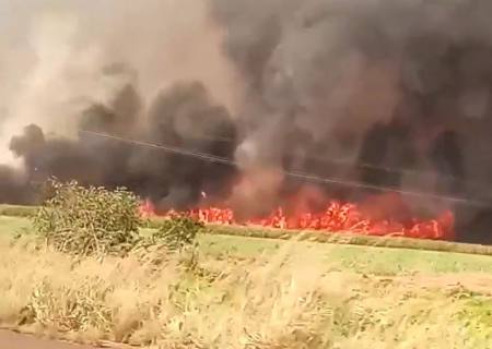Incêndio de grande proporção é contido às margens da MS-134 em Nova Andradina