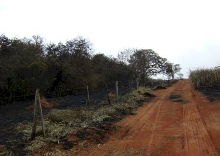 Polícia Ambiental autua arrendatário em R$ 666 mil por incêndio em lavoura de cana