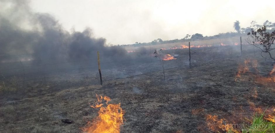Helicóptero cai e pega fogo em Rosana (SP) e suspeito é preso em Dourados