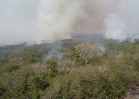 Governo manda 71 soldados para reforçar combate a fogo no Pantanal