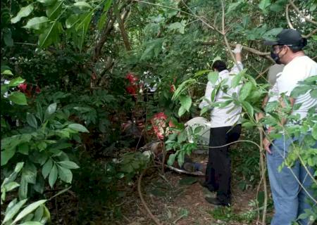 ''Fraco'', polícia paraguaia aposta que Fahd Jamil será ''retirado de mercado''