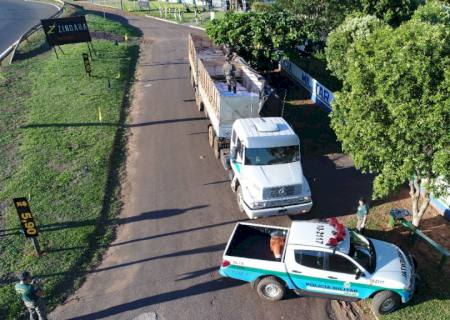 Polícia Ambiental de Mundo Novo apreende carga de agrotóxicos avaliada em R$ 5 milhões