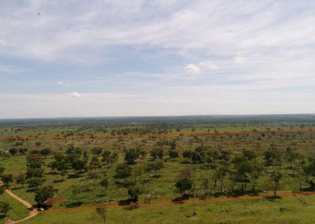 Polícia Ambiental de Bonito multa fazendeiro em R$ 24 mil por desmatamento