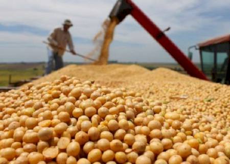 Com destaque para soja e açúcar, exportações de MS somam US$ 5,4 bilhões de janeiro a novembro