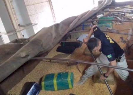 PRF apreende mais de 5 toneladas de maconha em Mundo Novo