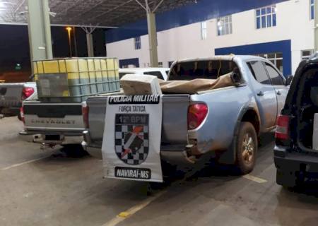 Polícia Militar apreende 1.450 quilos de maconha em Mundo Novo