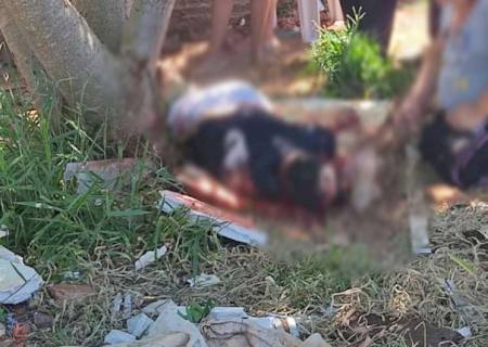 Homem é executado com tiros de fuzis e pistola em Ponta Porã