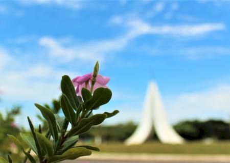 Sábado de temperaturas elevadas e possibilidade de ventos fortes
