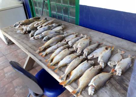 Polícia Ambiental autua peixaria por comercializar pescado sem declaração de estoque