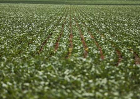 Balança comercial do agronegócio soma US$ 100,81 bilhões em 2020