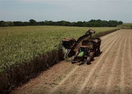Cana-de-açúcar: moagem alcança 45 milhões de toneladas em MS