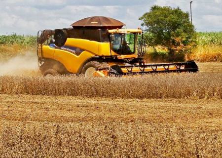 Valor da produção agropecuária de MS chega ao recorde de R$ 70,9 bilhões