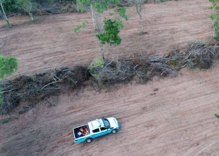 Proprietário rural é multado em R$ 196 mil por desmatamento de bioma protegido de Mata Atlântica