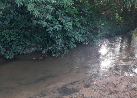 Pecuarista é autuado por degradação de matas ciliares de córrego em sua propriedade em Bonito