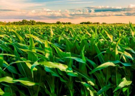 La Niña pode se estender até a primavera e os efeitos impactam no agro