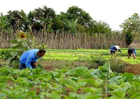 Semagro firma convênio com a Caixa para orientar agricultores na contratação do Pronaf