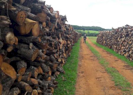 Infratores são autuados por uso de licença ambiental falsificada