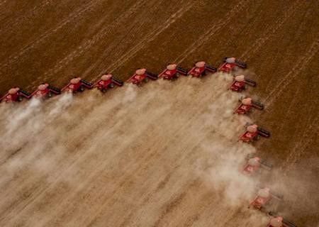 Embrapa: Brasil será maior exportador de grãos do mundo em cinco anos