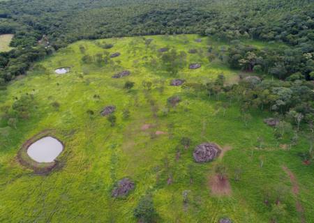 Usando imagens de satélite, PMA descobre desmatamento ilegal em Jardim
