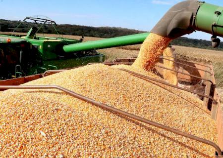 Produtores e cooperativas esperam reduzir custos e melhorar escoamento com investimentos em ferrovias de MS