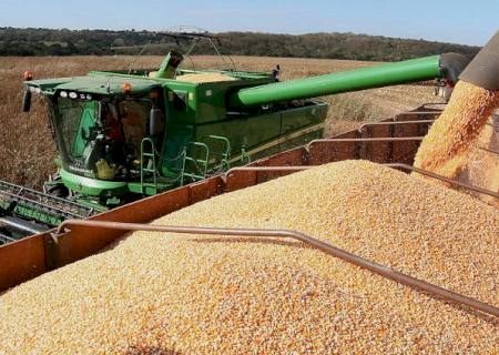 Colheita da soja entra na reta final e plantio do milho passa dos 90% em Mato Grosso do Sul