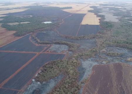 Usina sucroenergética em Rio Brilhante é multada em R$ 2,55 milhões devido a incêndio em vegetação
