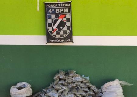Após denúncia de aglomeração, Força Tática apreende mais de 35 kg de maconha em Ponta Porã
