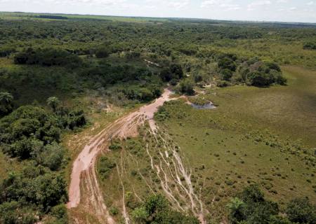 Pecuarista é multado em R$ 18,9 mil por erosões que causam turbidez no rio Prata em Jardim