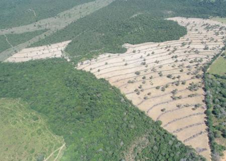 Pela terceira vez engenheira é autuada por licença ambiental falsa em MS