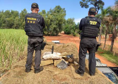 DOF apreende caminhão com mais de 11 toneladas de maconha em Iguatemi