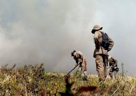 Governo institui Plano Estadual de Manejo Integrado do Fogo para prevenir e combater incêndios florestais