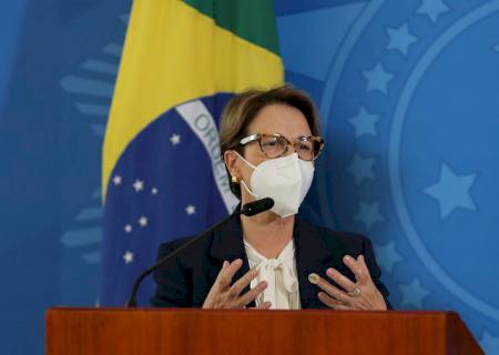 Governo lança plano de promoção da agricultura de baixo carbono