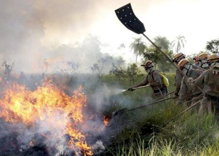 Para reforçar combate a incêndios florestais, 151 novos bombeiros passam por capacitação