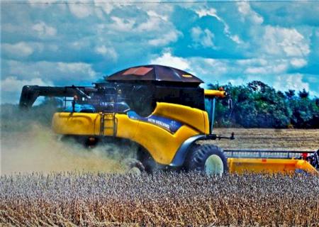 Chuvas de janeiro já impactam na recomposição dos leitos dos rios e na agricultura