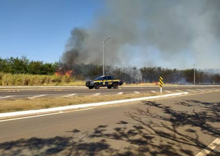 Incêndio em vegetação atrapalha visibilidade de motoristas na BR-376 em Nova Andradina