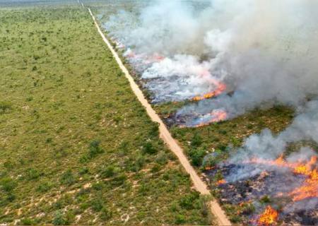 Prorrogada por mais 60 dias a proibição de queima controlada na planície pantaneira