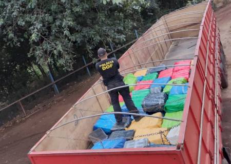 Vídeo: DOF intercepta carreta com 7,7 toneladas de maconha na MS-162