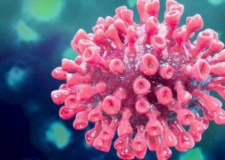 EUA pedem nova investigação ''transparente'' sobre origem da covid-19