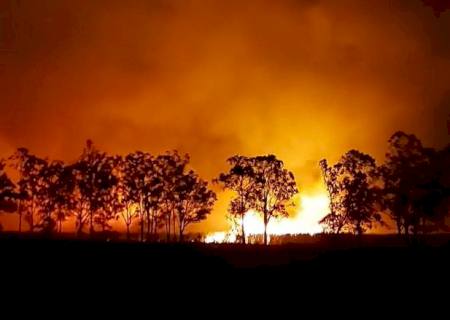 Vídeo: Estiagem e vento fazem incêndio em lixão se espalhar por plantação de cana em Nova Andradina