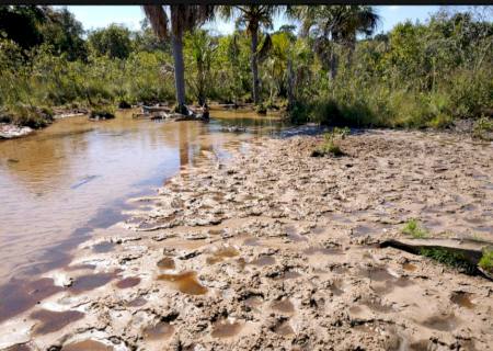 Idoso é multado por dano ambiental em Inocência
