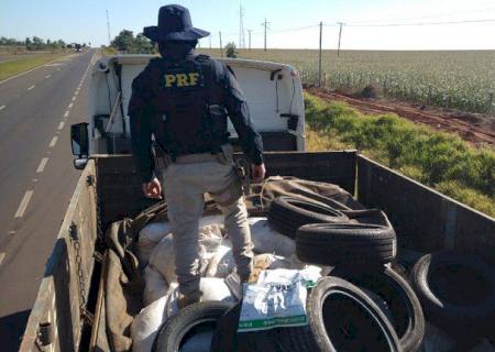 PRF apreende carga de agrotóxicos em Caarapó