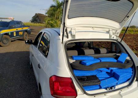 Homem é preso com mais de 250 kg de maconha em Mundo Novo