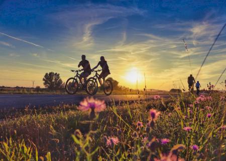 Projeto de Lei que promove a conscientização e a proteção do ciclista em MS começa a tramitar na Assembleia