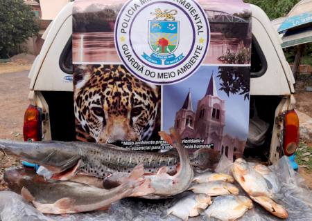 PMA de Aquidauana prende e autua pela sexta vez pescador por crime de pesca ou transporte ilegal de peixes