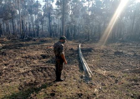 Fazendeiro é multado em R$ 246,6 mil por incêndio em vegetação nativa pantaneira