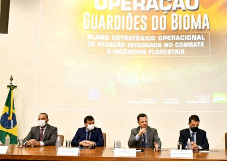Governo lança plano para combater incêndios florestais