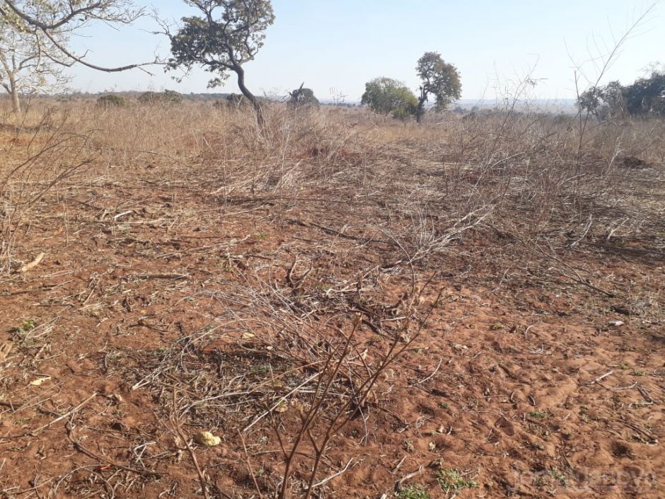 Vídeo: Polícia Ambiental autua segundo arrendatário por deixar gado sem alimento causando mortes de animais