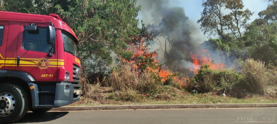 Vídeo: Fogo consome mata e terrenos baldios em Nova Andradina